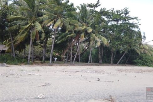 land-for-sale-in-malongcay-diot-negros-oriental-10