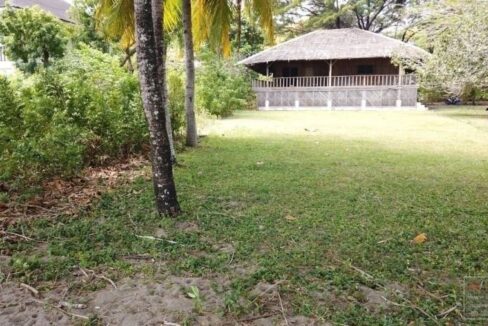 land-for-sale-in-malongcay-diot-negros-oriental-2