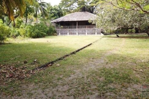 land-for-sale-in-malongcay-diot-negros-oriental