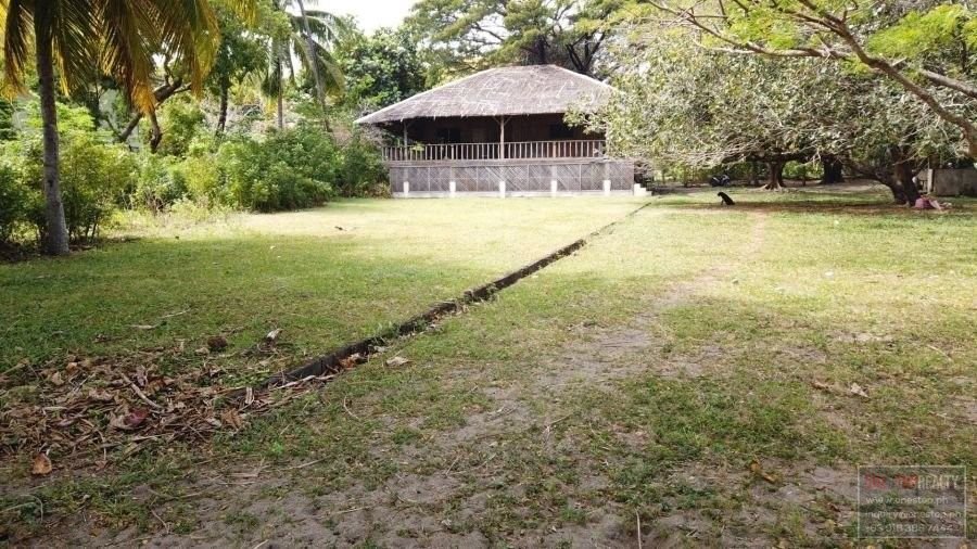 land-for-sale-in-malongcay-diot-negros-oriental