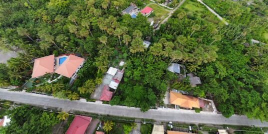 2,512 sqm Residential Lot in Cangmating Sibulan