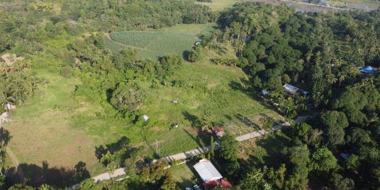 1.7 Hectares Agricultural Lot in Malabugas, Bayawan City