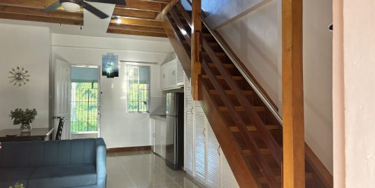 Newly Renovated Fully Furnished 2-Storey House and Lot in Junob, Dumaguete City – For Sale or For Rent